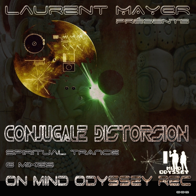 Couverture de Conjugale Distorsion