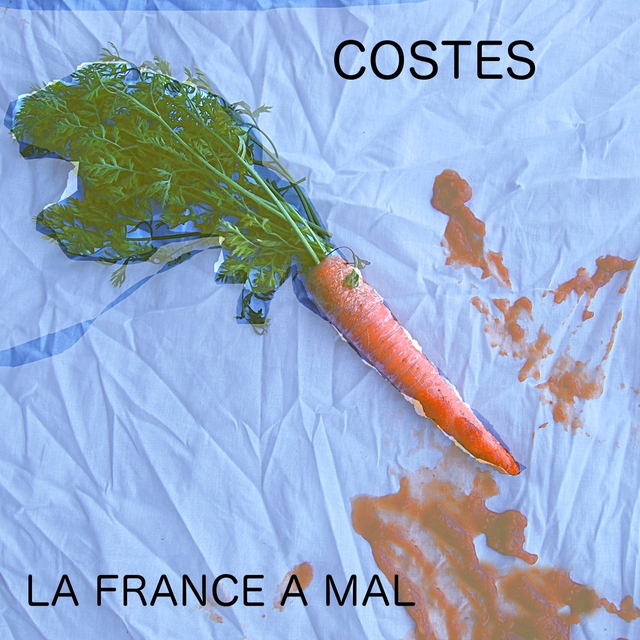 Couverture de La France a mal