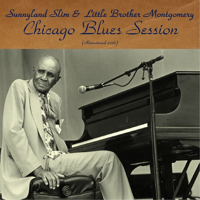 Couverture de Chicago Blues Session