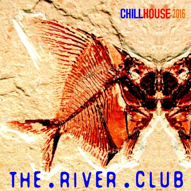 Couverture de Chill House 2016