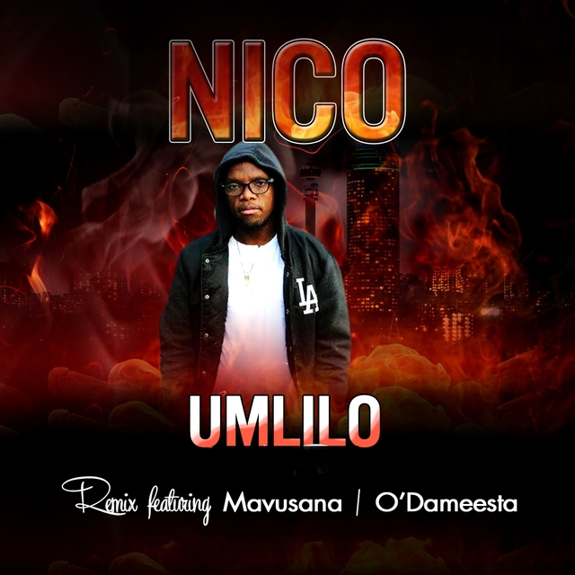 Couverture de Umlilo