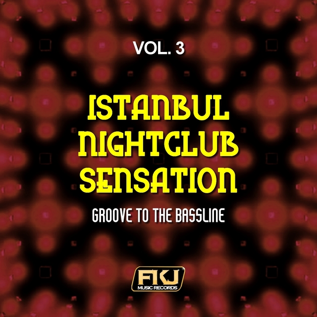 Couverture de Istanbul Nightclub Sensation, Vol. 3 (Groove to the Bassline)