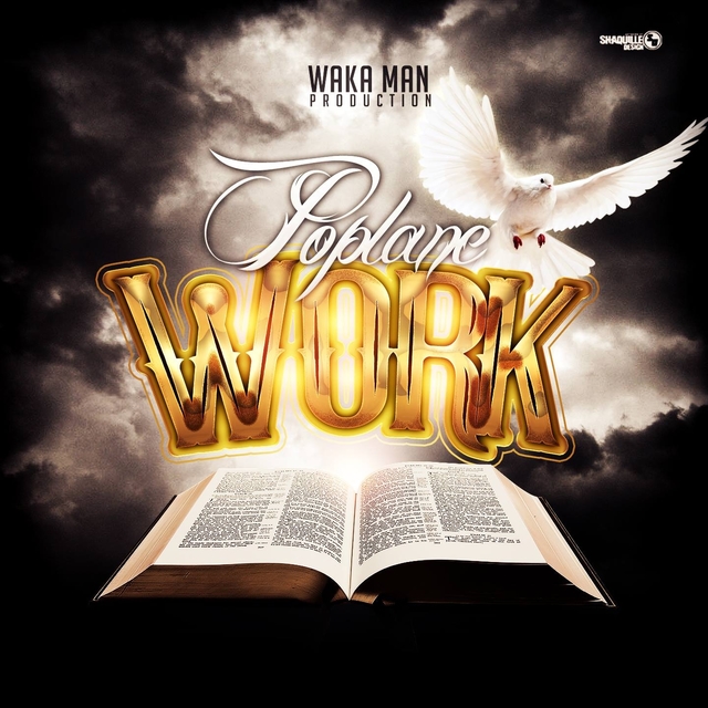 Couverture de Work