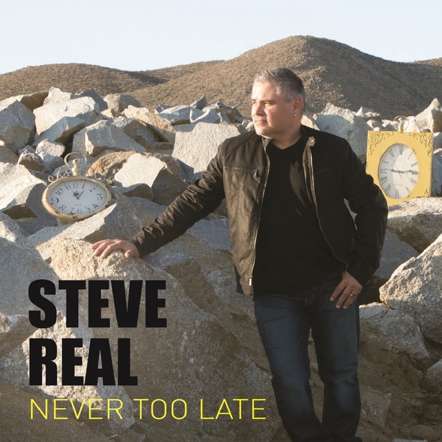 Couverture de Never Too Late