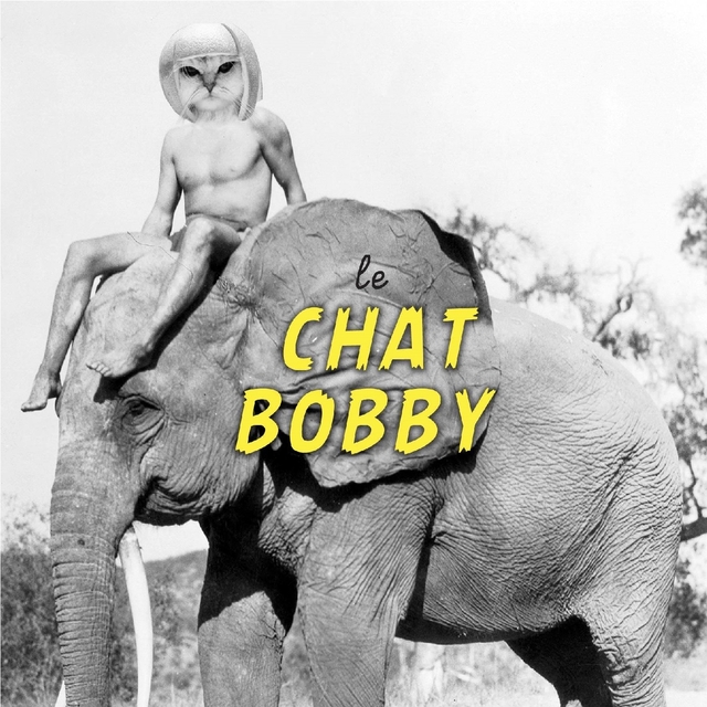 Couverture de Le chat Bobby