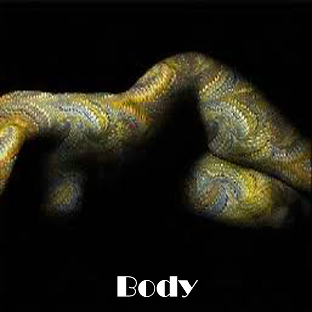 Couverture de Body