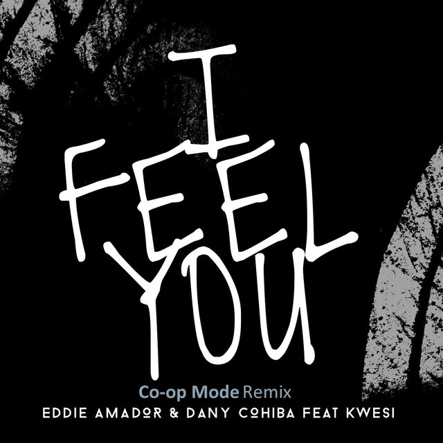 Couverture de I Feel You