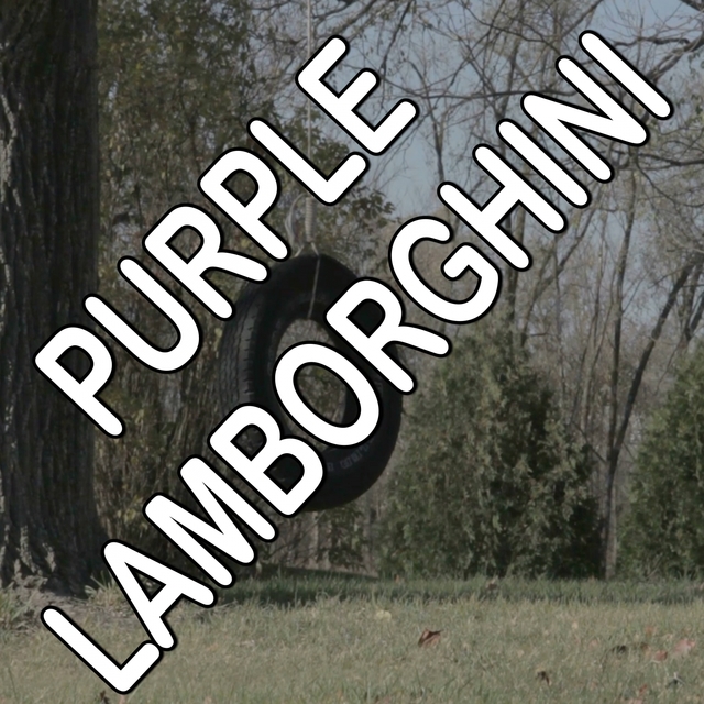 Purple Lamborghini - Tribute to Skrillex and Rick Ross