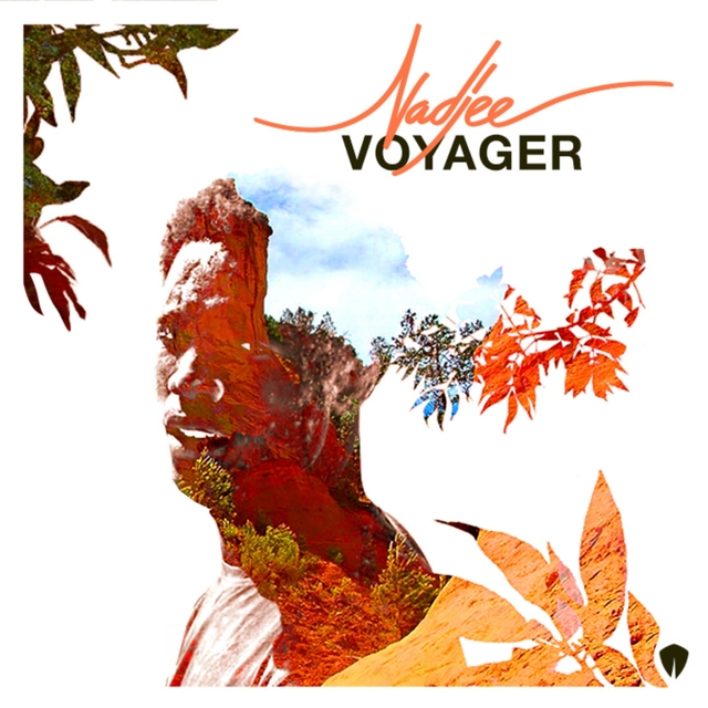 Couverture de Voyager