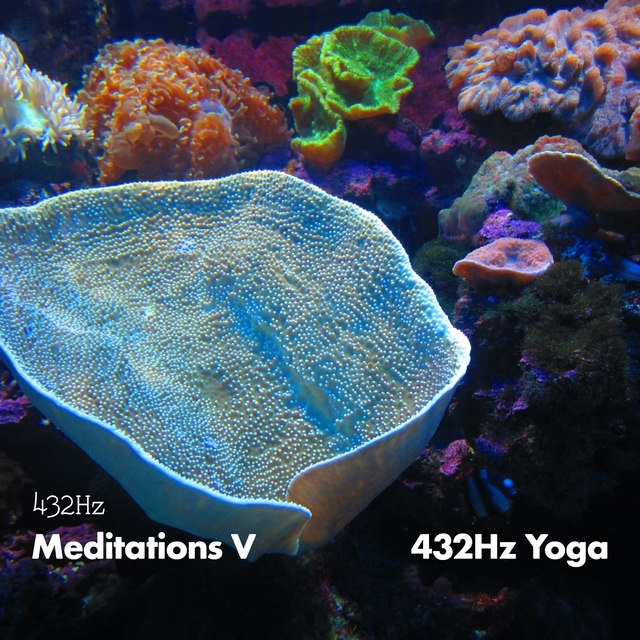 Couverture de 432HZ Meditations V