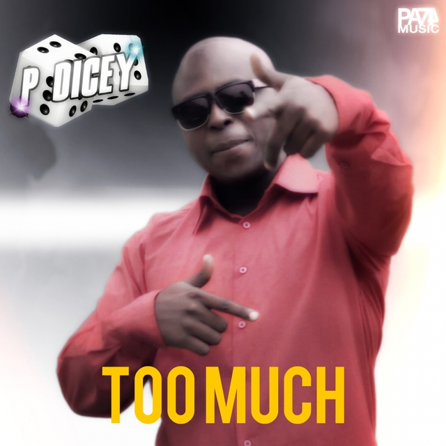 Couverture de Too Much