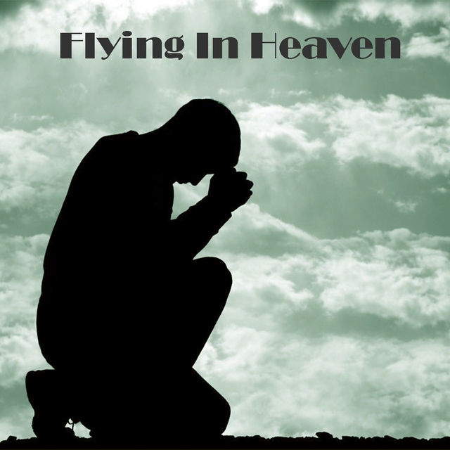 Couverture de Flying in Heaven