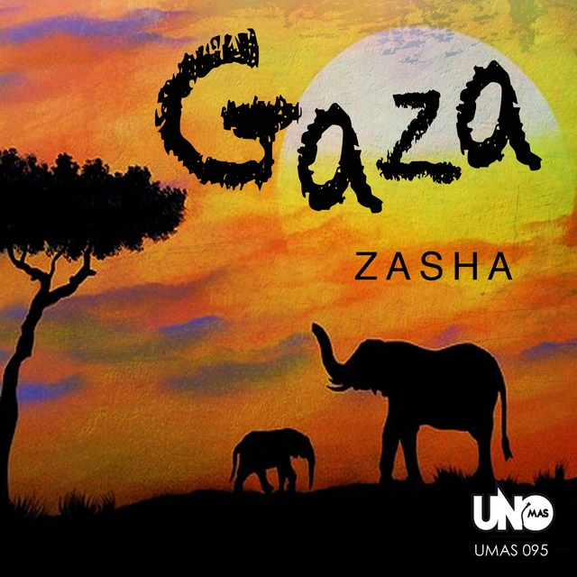 Couverture de Gaza