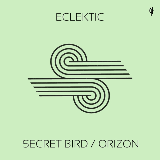 Secret Bird / Orizon