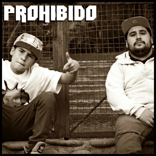 Couverture de Prohibido