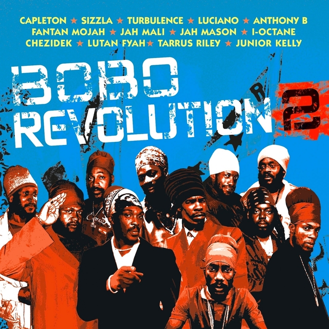 Couverture de Bobo Revolution 2