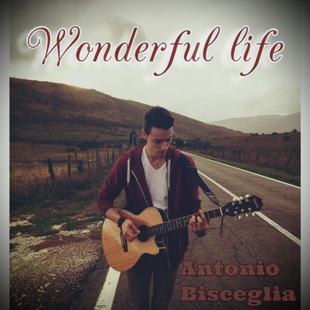 Wonderful Life