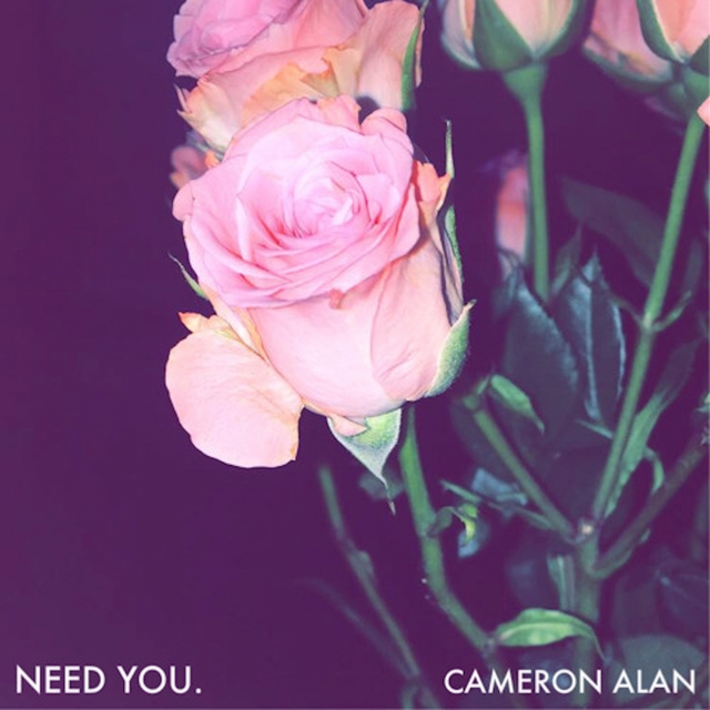 Couverture de Need You