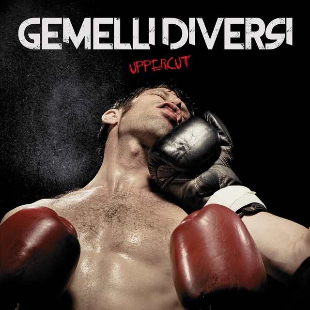 Couverture de Uppercut