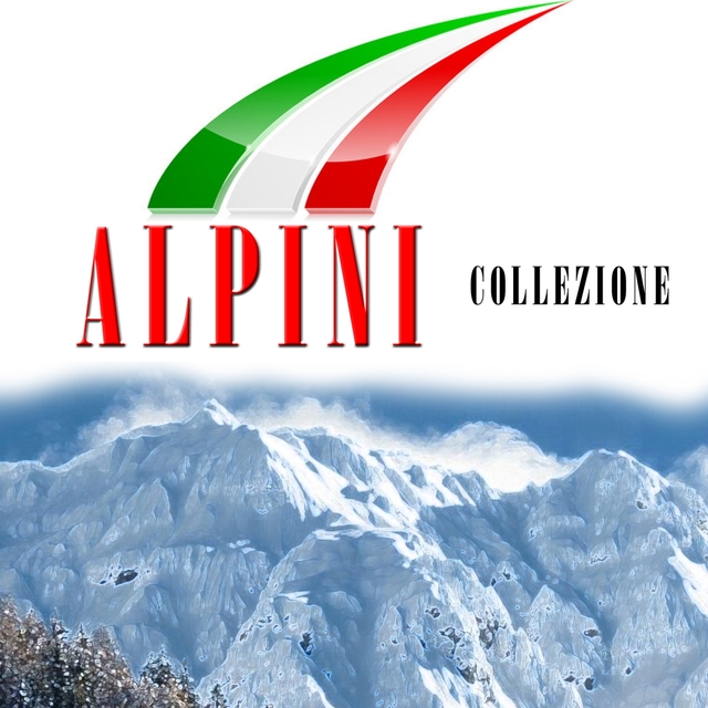 Couverture de Alpini