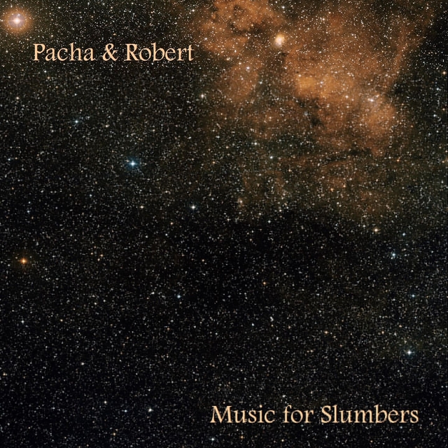 Couverture de Music For Slumbers