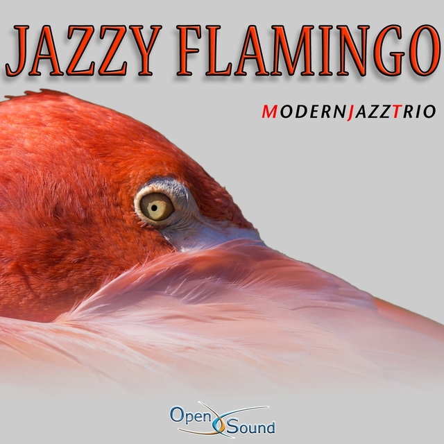 Couverture de Jazzy Flamingo