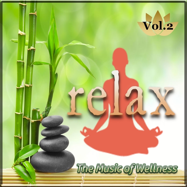 The Music of Wellness 'Relax', Vol. 2