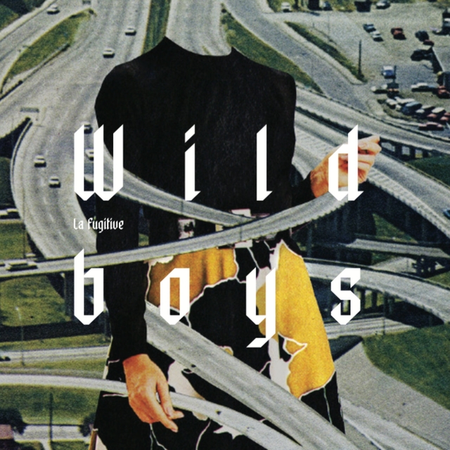 Couverture de Wild Boys