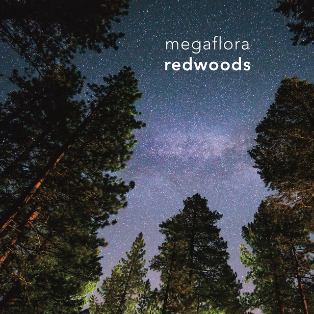 Couverture de Redwoods