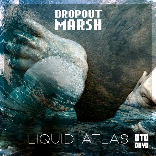 Couverture de Liquid Atlas