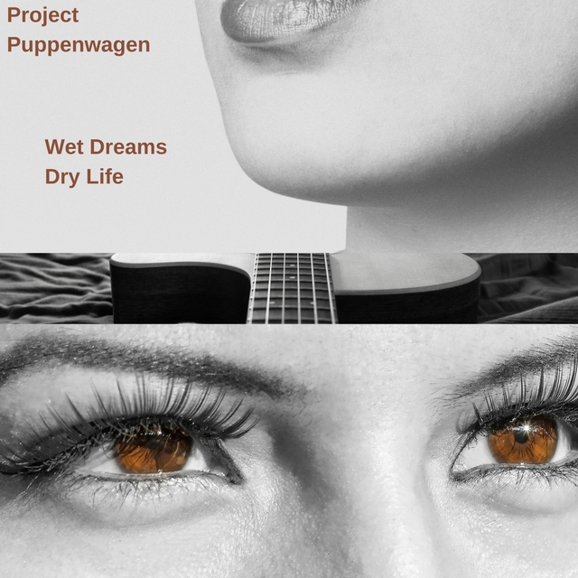 Couverture de Wet Dreams Dry Life