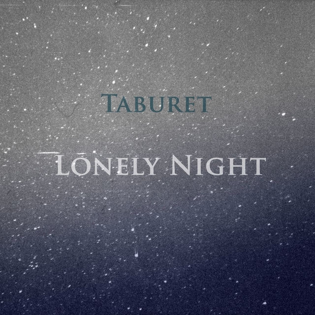 Couverture de Lonely Night