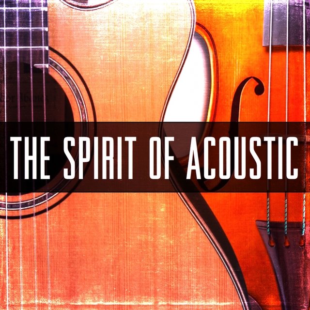 Couverture de The Spirit of Acoustic