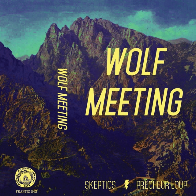 Couverture de Wolf Meeting