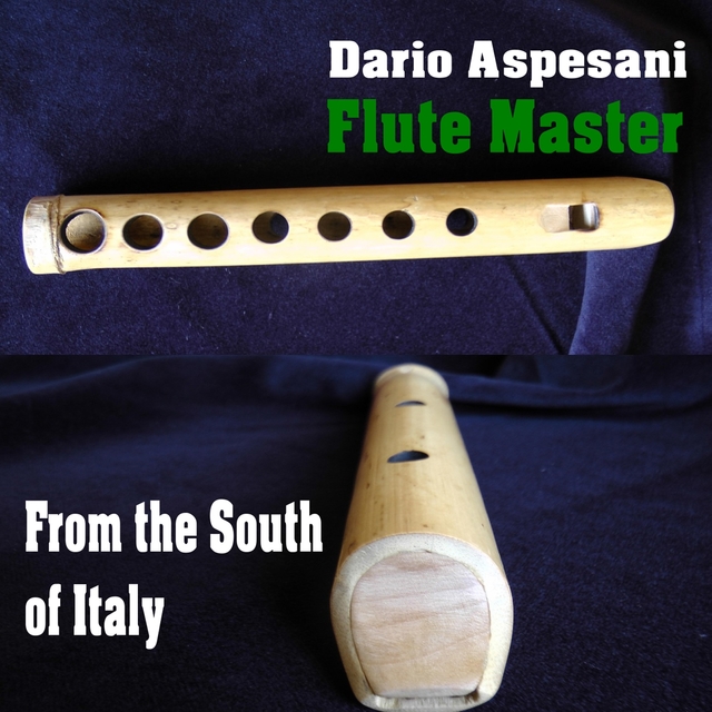 Couverture de Flute Master