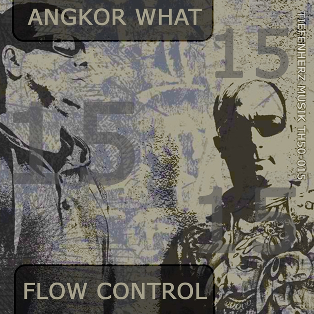 Couverture de Flow Control