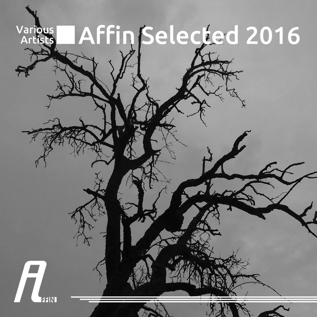 Couverture de Affin Selected 2016