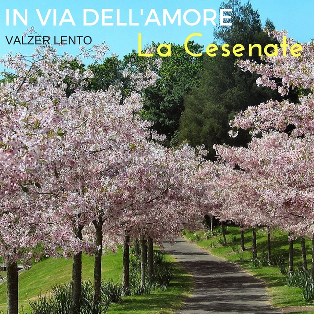 Couverture de In via dell'amore