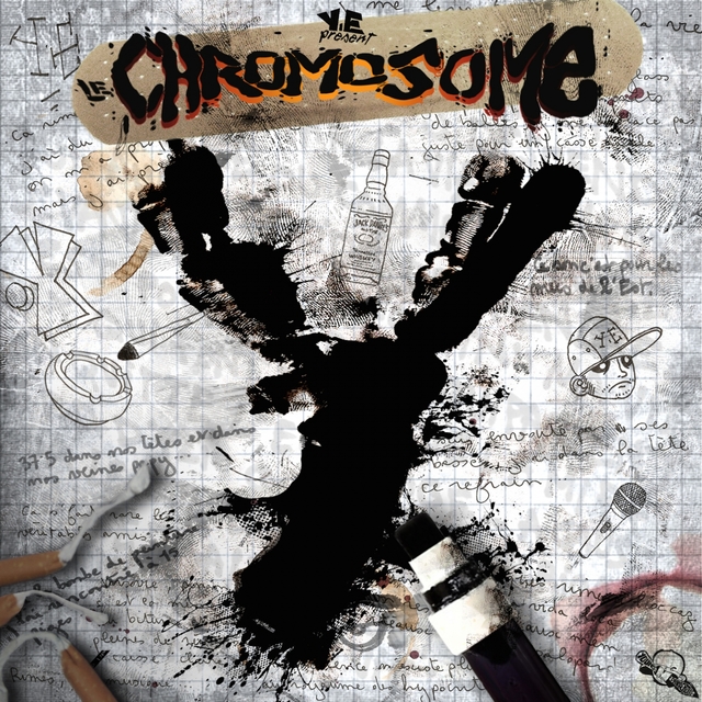 Couverture de Le chromosome Y