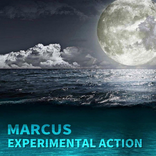 Couverture de Experimental Action