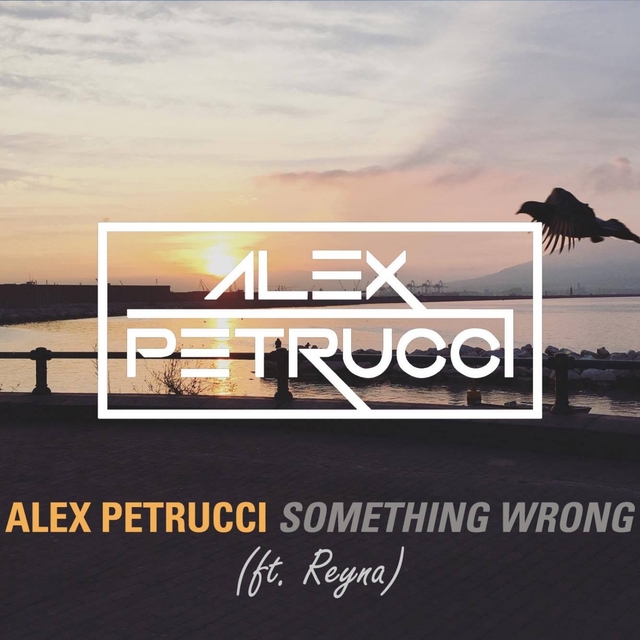 Couverture de Something Wrong