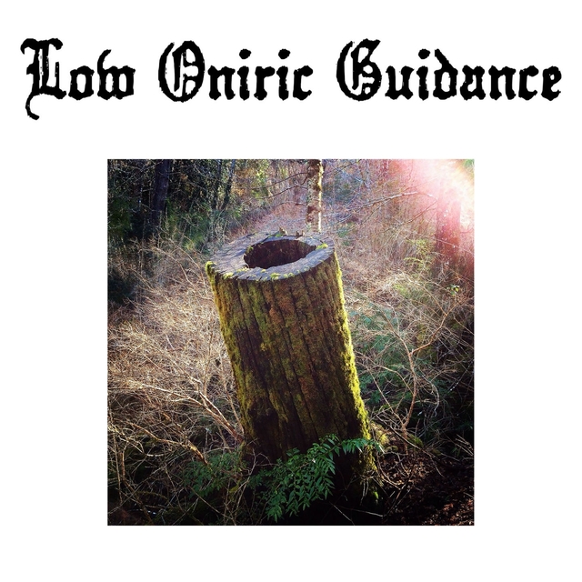 Low Oniric Guidance