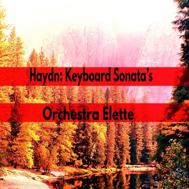 Couverture de Haydn: Keyboard Sonata's