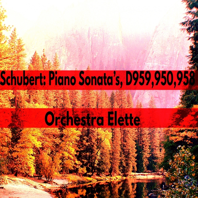 Couverture de Schubert: Piano Sonata's, D959, 950, 958