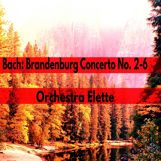 Couverture de Bach: Brandenburg Concerto No. 2-6