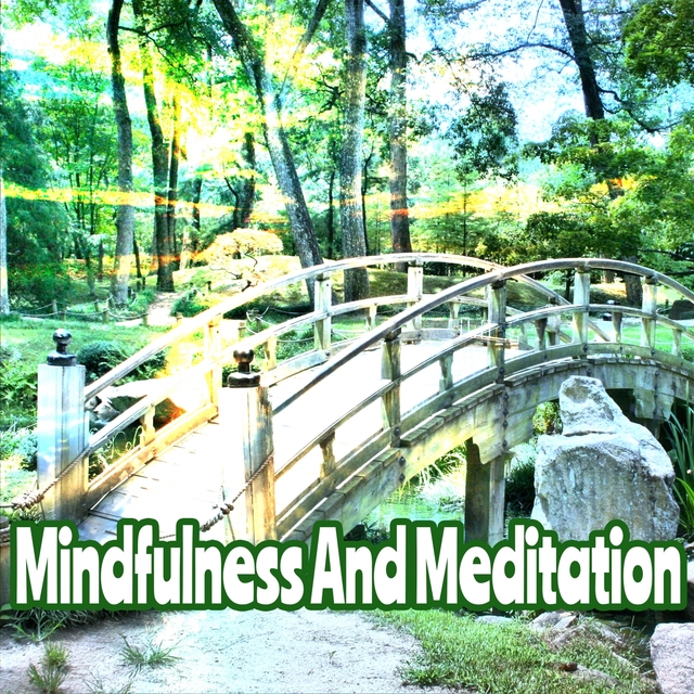Mindfulness And Meditation