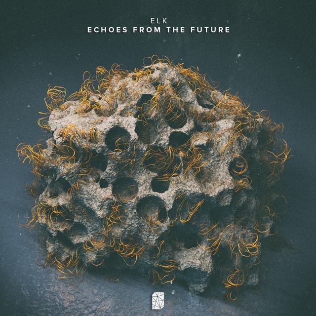 Couverture de Echoes from the Future