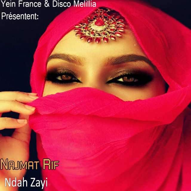 Couverture de Ndah Zayi