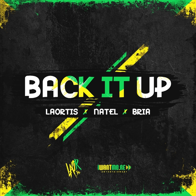 Couverture de Back It Up