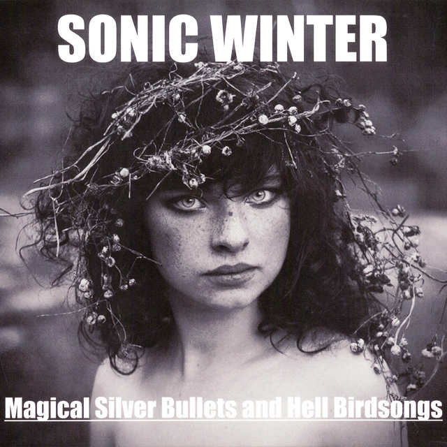 Couverture de Magical Silver Bullets and Hell Birdsongs